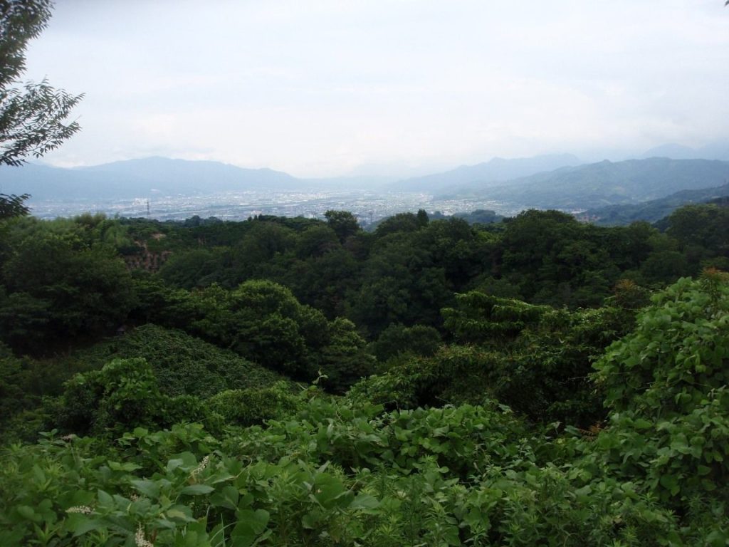 風の丘から松山市一望　